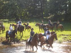 <img250*0:stuff/horserefzab23.jpg>