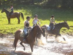 <img250*0:stuff/horserefzab24.jpg>