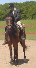 <img125*0:stuff/horserefzab8.jpg>