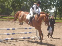 <img250*0:stuff/horserefzab9.jpg>