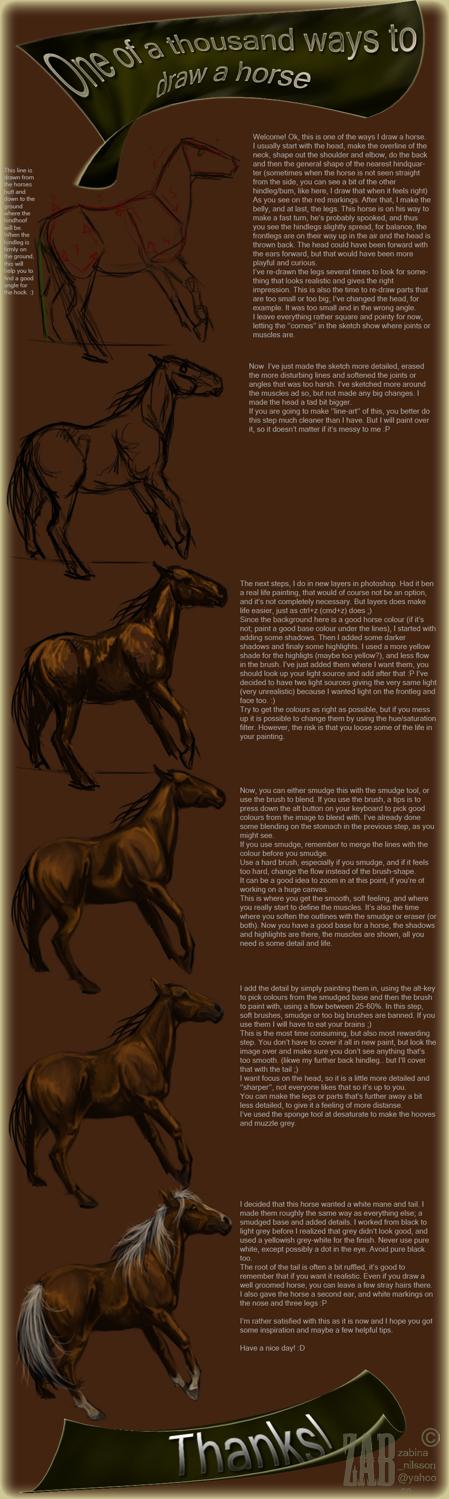 <img:stuff/horsetutfhgjjgj.jpg>