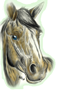 <img:stuff/horsey.zab.gif>
