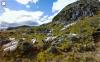 if a man have an hundred sheep
