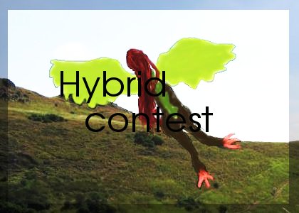 <img:stuff/hybridcontest.jpg>