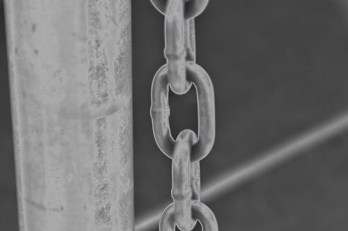 i_took_this_out_by_the_track