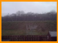 <img200*0:stuff/ianapbackborder.jpg>