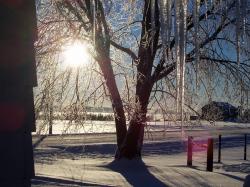 <img250*0:stuff/icicle%20morning%20yuriona.jpg>