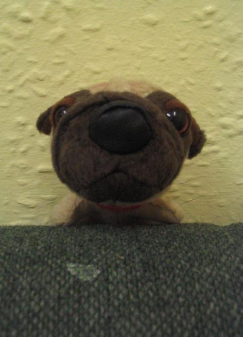 <img500*0:stuff/iippo_plushie.jpg>