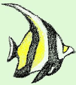 <img0*300:stuff/iippofish.jpg>