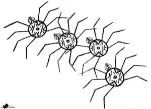 <img300*0:stuff/indiainkspider.jpg>