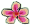 <img:http://elftown.heddate.com/stuff/iru_orchid.gif>
