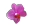 <img:http://elftown.heddate.com/stuff/iru_orchid3.gif>
