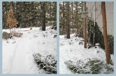 <img400*0:stuff/jan%20snow%20%204th.jpg>