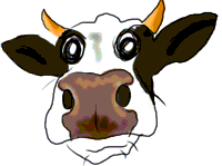 <img:stuff/jittercow.gif>