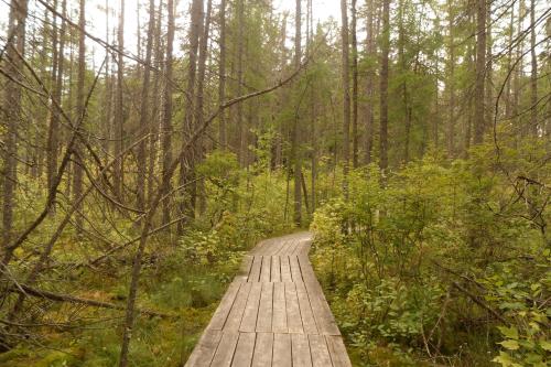 <img500*333:stuff/johnvillebog.jpg>