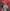 <img10*0:stuff/jsispitztheoffering-cropped.JPG>