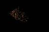 <img100*0:stuff/july4223.jpg>