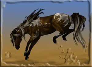 <img300*0:stuff/jumopo.jpg>