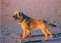 <img200*0:stuff/jura5.jpg>