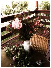 <img200*0:stuff/kai-spring.jpg>
