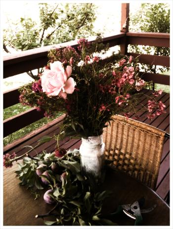 <img350*0:stuff/kai-spring.jpg>