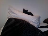 <img0*150:stuff/kai_pushka1.jpg>