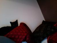 <img0*150:stuff/kai_pushka2.jpg>