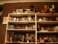 <img0*150:stuff/kai_shelvesofdooooom.jpg>