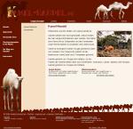<img150*0:stuff/kamellayout.jpg>
