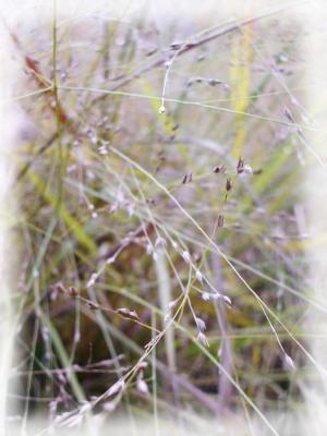 <img300*0:stuff/kiel%2706_2%20024.jpg>