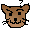 <img:stuff/kitten_22.gif>