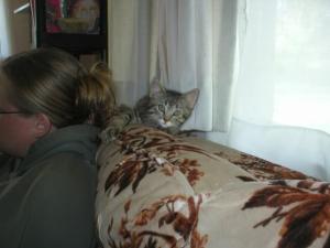 <img300*0:stuff/kitty1.jpg>