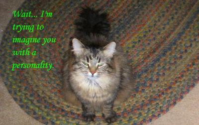 <img:http://elftown.heddate.com/stuff/kittything.jpg?y=0&x=400>