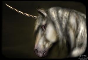 <img300*0:http://elftown.heddate.com/stuff/kurasontestunicorn.jpg>
