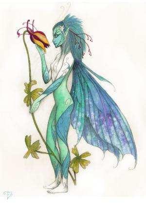 <img300*0:stuff/kuruni-artport-wild.jpg>