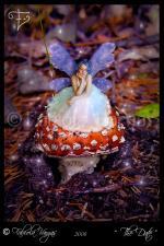 <img150*0:stuff/kuruni-date.jpg>