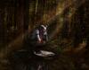 <img100*0:stuff/kuruni-pan2.jpg>