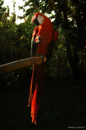 <img300*0:stuff/kuruni-photoforbirds.jpg>