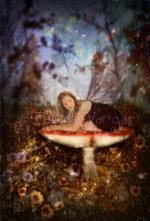 <img150*0:stuff/kuruni-wildflowers.jpg>