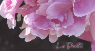 La Duette
