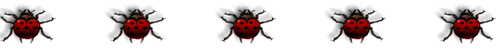 <img:stuff/ladybugdivider.gif>