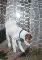 <img0*200:stuff/larry_mixed12.jpg>