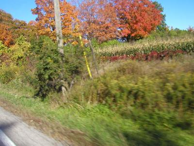 <img400*0:stuff/last%20road%206.jpg>