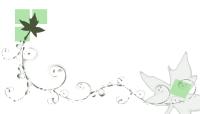 <img200*0:stuff/leaf-n-jpg.jpg>
