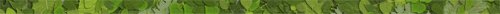 <img:stuff/leafyjitdiv.gif>