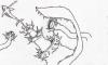 <img100*0:stuff/lesson%201-2-2.jpg>