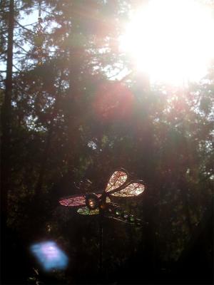 <img300*0:stuff/light%201.jpg>