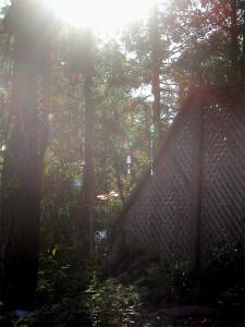 <img0*300:stuff/light%202%20.jpg>