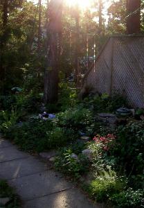 <img0*300:stuff/light%203%20.jpg>
