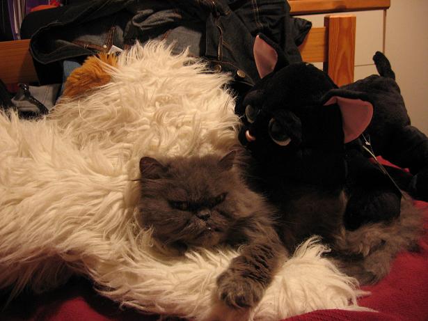 <img:stuff/lils.jpg>